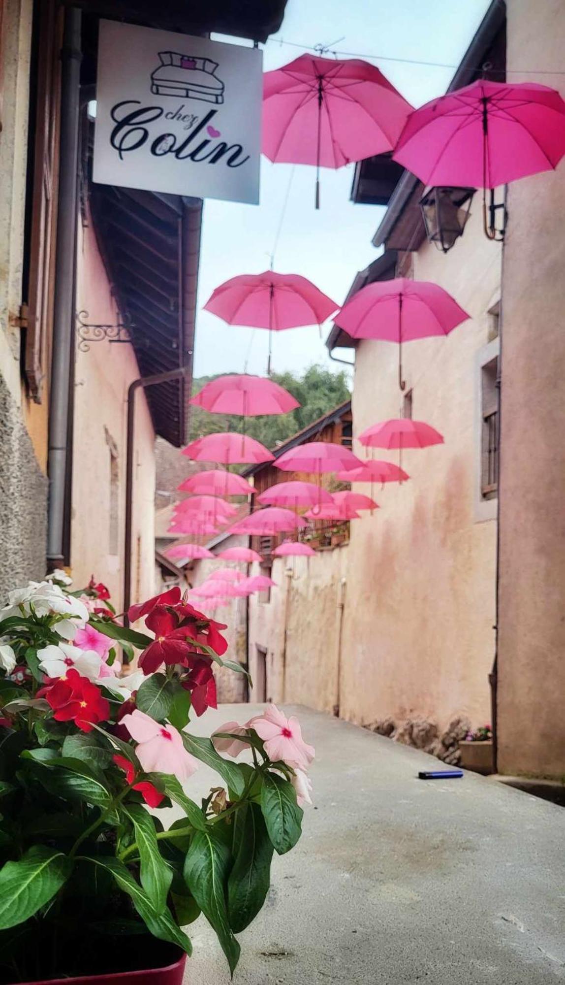 Le Doux Nid Bed & Breakfast Chanaz Exterior foto